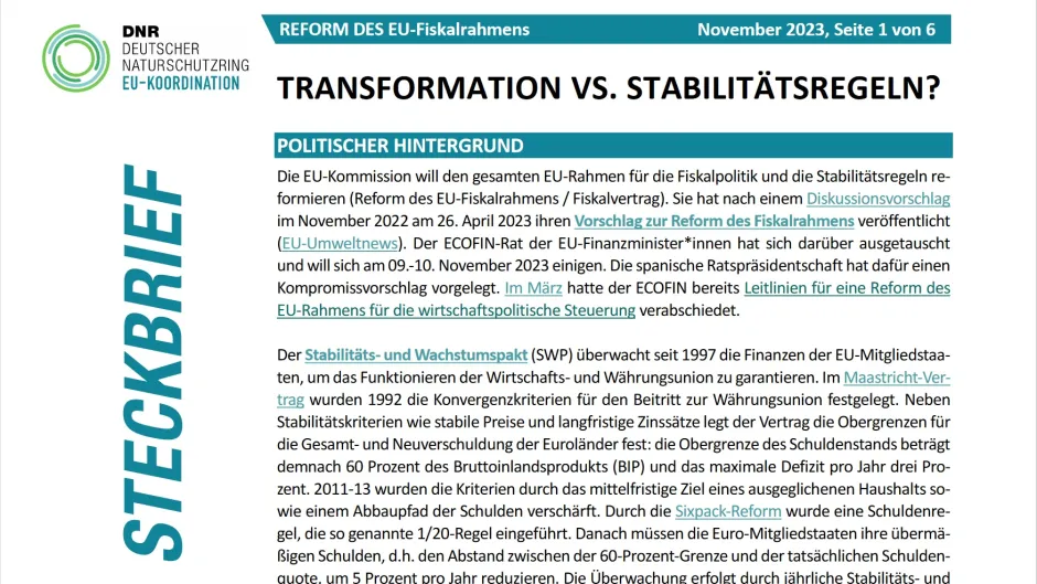 Steckbrief Transofrmation Stabilität